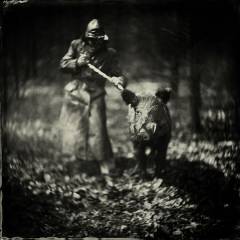 The Truffle Seeker