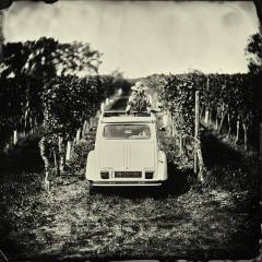 la dolce vita