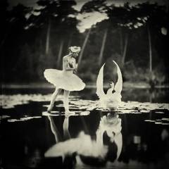Swan Lake
